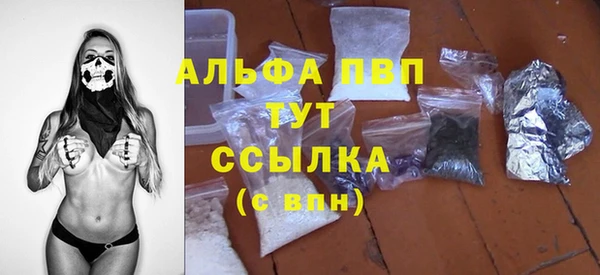 PSILOCYBIN Липки