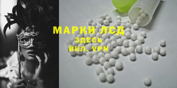 индика Лихославль