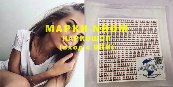 индика Лихославль