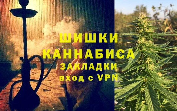 индика Лихославль