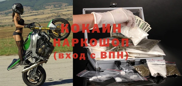 индика Лихославль