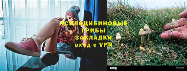 PSILOCYBIN Липки