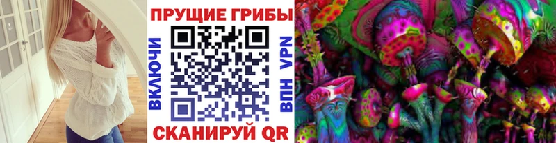 Галлюциногенные грибы Psilocybine cubensis  Купить где  Новое Девяткино 